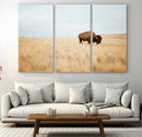 Buffalo Wall Art Canvas Print – Framed Western Wildlife