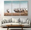 Elk Herd Wall Art Canvas Print – Framed Wildlife Photography