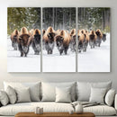 Bison Herd Scene Wall Art Canvas Print – Framed Western by MyGreatCanvas | Canvas Wall Art Prints | Photo Prints & Wall Decor