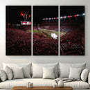 William Brice Stadium Wall Art Print – Baseball Game Room by MyGreatCanvas | Canvas Wall Art Prints | Photo Prints & Wall Decor