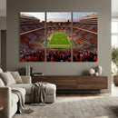 Tennessee Neyland Stadium Wall Art, Sports Arena Canvas by MyGreatCanvas | Canvas Wall Art Prints | Photo Prints & Wall Decor