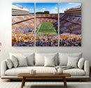 Tennessee Neyland Stadium Wall Art, Sports Arena Canvas by MyGreatCanvas | Canvas Wall Art Prints | Photo Prints & Wall Decor