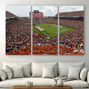 Jordan-Hare Stadium Wall Art Canvas Print, College Sports by MyGreatCanvas | Canvas Wall Art Prints | Photo Prints & Wall Decor