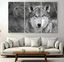 Wild Wolf Blue Eye Wall Art Canvas Print