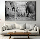 Wild Elephant Wall Art Canvas Print by MyGreatCanvas | Canvas Wall Art Prints | Photo Prints & Wall Decor