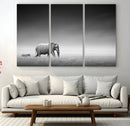 Elephand and Zebra Wall Art Canvas Print, Modern Artwork