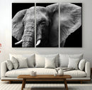 Big Elephant Close Up Wall Art Canvas Print