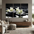 Plumeria Frangipani Black Stone Canvas | White Flower Spa by MyGreatCanvas | Canvas Wall Art Prints | Photo Prints & Wall Decor
