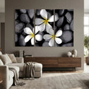Plumeria Frangipani Black Stone Canvas | White Flower Spa by MyGreatCanvas | Canvas Wall Art Prints | Photo Prints & Wall Decor
