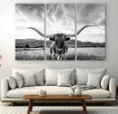 Longhorn Black and White Wall Art – Rustic Western Bull