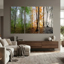 Four Seasons Wall Art Forest Canvas Print – Triptych