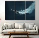 Swimmer Wall Art Canvas Print
