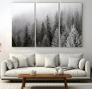 Big Foggy Forest and Misty Trees Forest Wall Art Canvas by MyGreatCanvas | Canvas Wall Art Prints | Photo Prints & Wall Decor