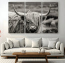 Cow Focus Canvas Wall Art Print by MyGreatCanvas | Canvas Wall Art Prints | Photo Prints & Wall Decor