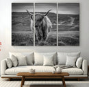 Fluffy Cattle Wall Art Print, Highland Cow Canvas, Framed by MyGreatCanvas | Canvas Wall Art Prints | Photo Prints & Wall Decor