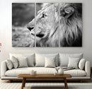 African Lion Wall Art Canvas Print – Majestic Wildlife