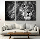 Black and White Lion Canvas Wall Art Print – Wildlife