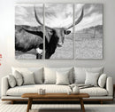 Cattle Wall Art Longhorn Cow Canvas Print