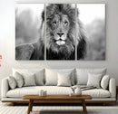 Black and White Lion Canvas Wall Art – Animal Print Artwork