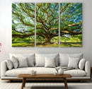 Majestic Oak Tree Wall Art – Serene Nature Canvas Print with