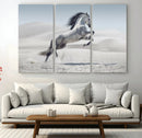 Prancing Horse Desert Large Wall Art Canvas Print – Majestic