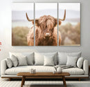 Scottish Serene Highland Cow Canvas Wall Art – Serene