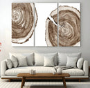 Wood Tree Ring Wall Art Canvas Prints, Tree Rings –