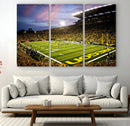 University of Oregon Ducks Football Team Print - Eugene