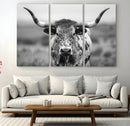 Texas Cow Longhorn Wall Art Canvas Print for Farm House Wall