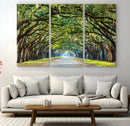 Wormsloe State Plantation Driveway Wall Art Canvas Print