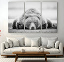 Resting Grizzly Bear Wall Art Canvas Print – Majestic Lazy by MyGreatCanvas | Canvas Wall Art Prints | Photo Prints & Wall Decor