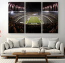 Eagles Field Stadium Wall Art - Philadelphia Eagles Football
