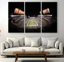 Eagles Field Stadium Wall Art - Lincoln Financial Field
