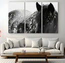 Black Horse in Snow Canvas Print | Winter Horse Wall Art |