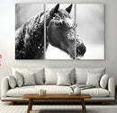 Horse Canvas Print - Winter Horse Snow Wall Art Canvas Print