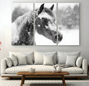 Black Horse Winter Wall Art | Ready to Hang and Framed |