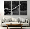 Cow Longhorn Wall Art | Black and White Print | Ready to by MyGreatCanvas | Canvas Wall Art Prints | Photo Prints & Wall Decor