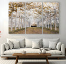 Forest Grove Wall Art | Serene Pathway Canvas Print | Ready