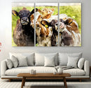 Curious Cows Farmhouse Wall Art | Ready to Hang and Framed by MyGreatCanvas | Canvas Wall Art Prints | Photo Prints & Wall Decor