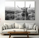 Scottish Highland Cow Wall Art | Black and White Canvas