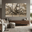 Sepia Framed Angel Oak Tree Wall Art - 3-Panel Canvas