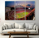 NC State Wolfpack Football Team Print - Raleigh