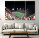 Houston Cougars Football Team Print - Houston TDECU Stadium