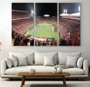 University of Louisville Cardinals Football Team Print -