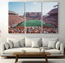 Framed Texas Memorial Stadium Canvas, University of Texas