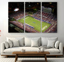 Florida Atlantic University Owls Canvas Print, Football Team by MyGreatCanvas | Canvas Wall Art Prints | Photo Prints & Wall Decor