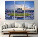 Florida Atlantic University Owls Football Team Print - Boca by MyGreatCanvas | Canvas Wall Art Prints | Photo Prints & Wall Decor