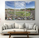 University of Charlotte 49ers Football Team Print - by MyGreatCanvas | Canvas Wall Art Prints | Photo Prints & Wall Decor