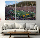 University of California Golden Bears Football Team Print - by MyGreatCanvas | Canvas Wall Art Prints | Photo Prints & Wall Decor