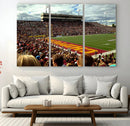 Central Michigan University Chippewas Football Team Print - by MyGreatCanvas | Canvas Wall Art Prints | Photo Prints & Wall Decor